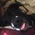 Sharon Neely's profile image