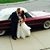 Danelle Lovelace-Adams's profile image