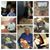 Beverly Riley's profile image
