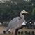 Sara Houser's profile image