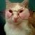 Joanne Marie Davis-Hall's profile image