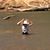 Lesley Smailes's profile image