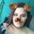 Briana Koen's profile image