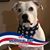 Deanna Whitney Massie's profile image
