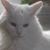 Rosemary Tyszka's profile image
