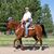 Jeremiah Van Meter's profile image