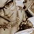 Kelly Brown Sutton's profile image