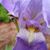 Leigh Porterfield-Cole's profile image