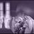 Frank Testagrose's profile image