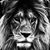 Brett Reed's profile image