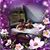 Jacqueline K Glidden Baker's profile image
