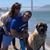 Sandra Belli Gulisano's profile image