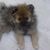 Loralee Caldwell Brown's profile image