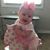 Rose Garner Vaughn's profile image