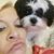 Donna Huffman's profile image