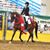 Nicole Rowley's profile image