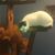 Joseph L. Keen's profile image