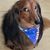 Vicki Cates Sellers's profile image