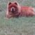 Twyla Walker's profile image