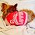 Lisa Larsen's profile image