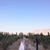 Silvana Pellice's profile image
