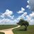Cheryl Ann Sutton's profile image