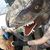 Natalie Griffin's profile image