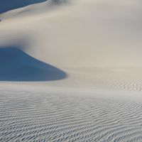 Rt Wang's profile image