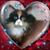 Cathy Lynn Pegram's profile image