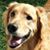 Bonnie Doherty Ross's profile image