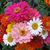 Linda Heidelmaier Baker's profile image