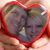Bobbie Lee Taylor's profile image