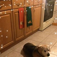 Phoenix Max's profile image