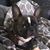 Michelle Fink DiTonno's profile image
