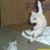 Elaine Yamaguchi's profile image