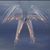 Cindy Thurman Springer's profile image