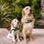Amy Koop's profile image