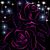 Melissa Msadoques's profile image