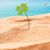 Mandy Covelli Hoelzer's profile image