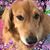 Kris Kaczor Leigh's profile image