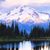 Denise Lenhardt Benoit's profile image