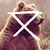 Edward Martinez's profile image