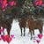Lynn Brower's profile image