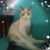 Kathy Riggs's profile image