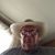 Dick Lamb's profile image