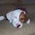 Mary Harrington McLellan's profile image