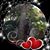 Lynne Albert's profile image