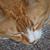 Hunter Kilpatrick's profile image