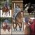 Sandra Sann's profile image