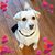 Sharon Bailey Fama's profile image